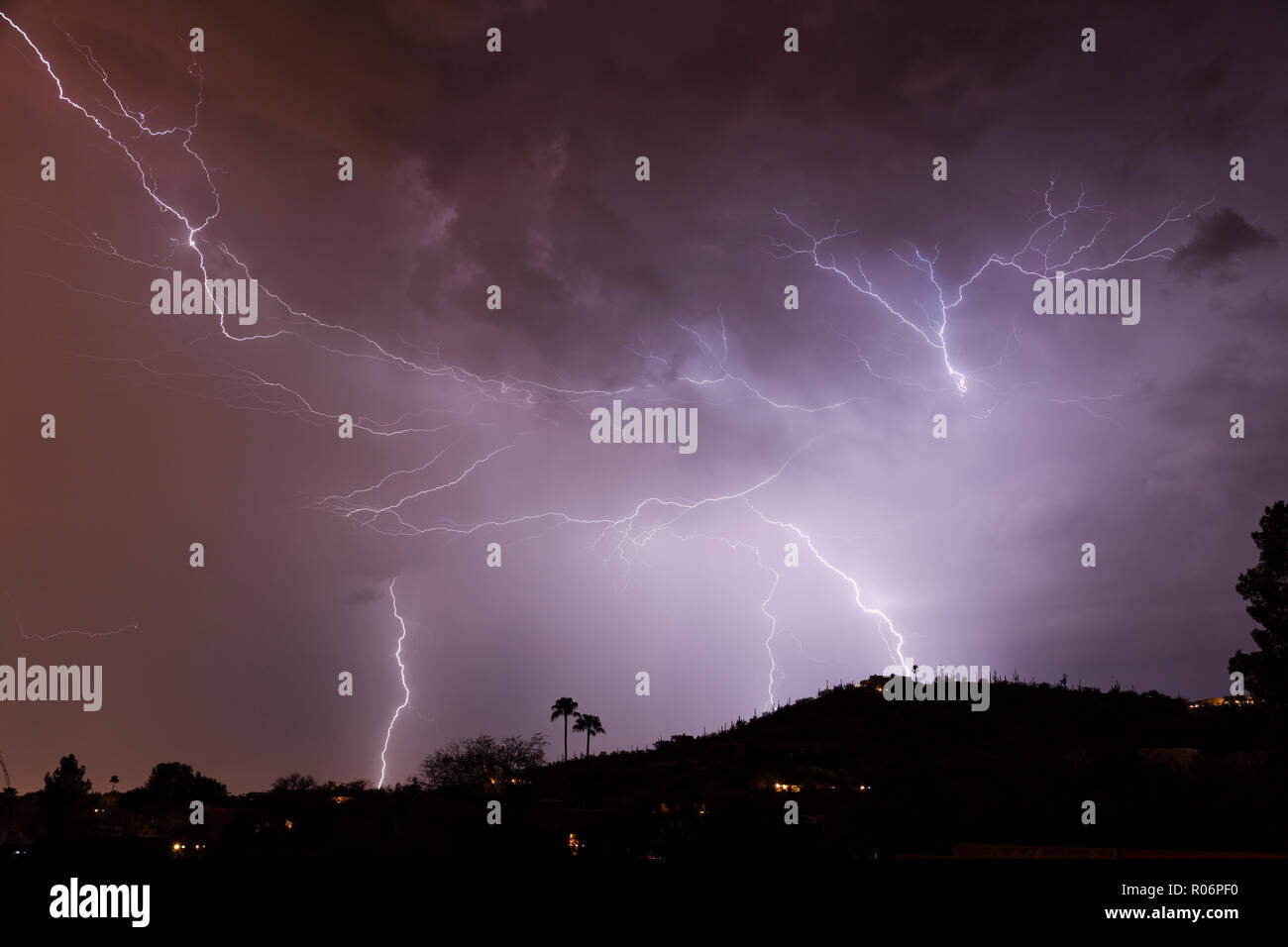 Spider Lightning, The Monsoons, Tucson, AZ Stock Photo - Alamy