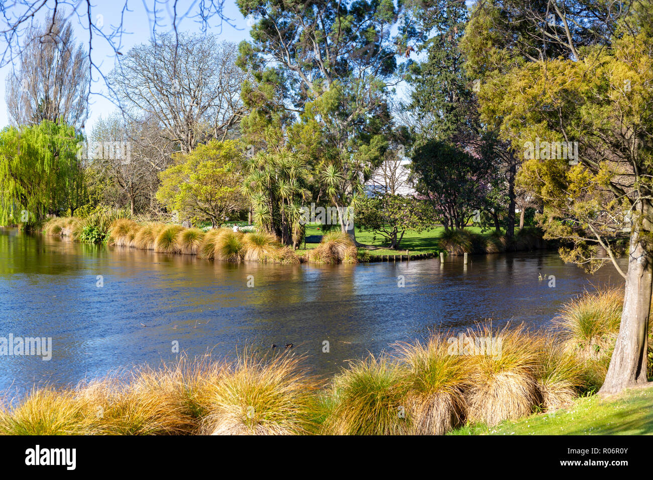 The afternoon sun casts a golden glow over the trees and shrubs lining the river at Mona Vale, Christchurch, New Zealand Stock Photo