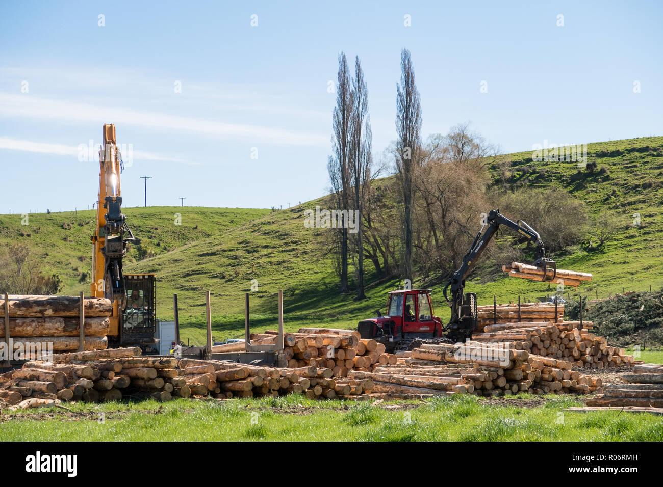 Opuha, South Canterbury, New Zealand, September 14 2018: A log truck being loaded with pine logs at a logging site for export Stock Photo