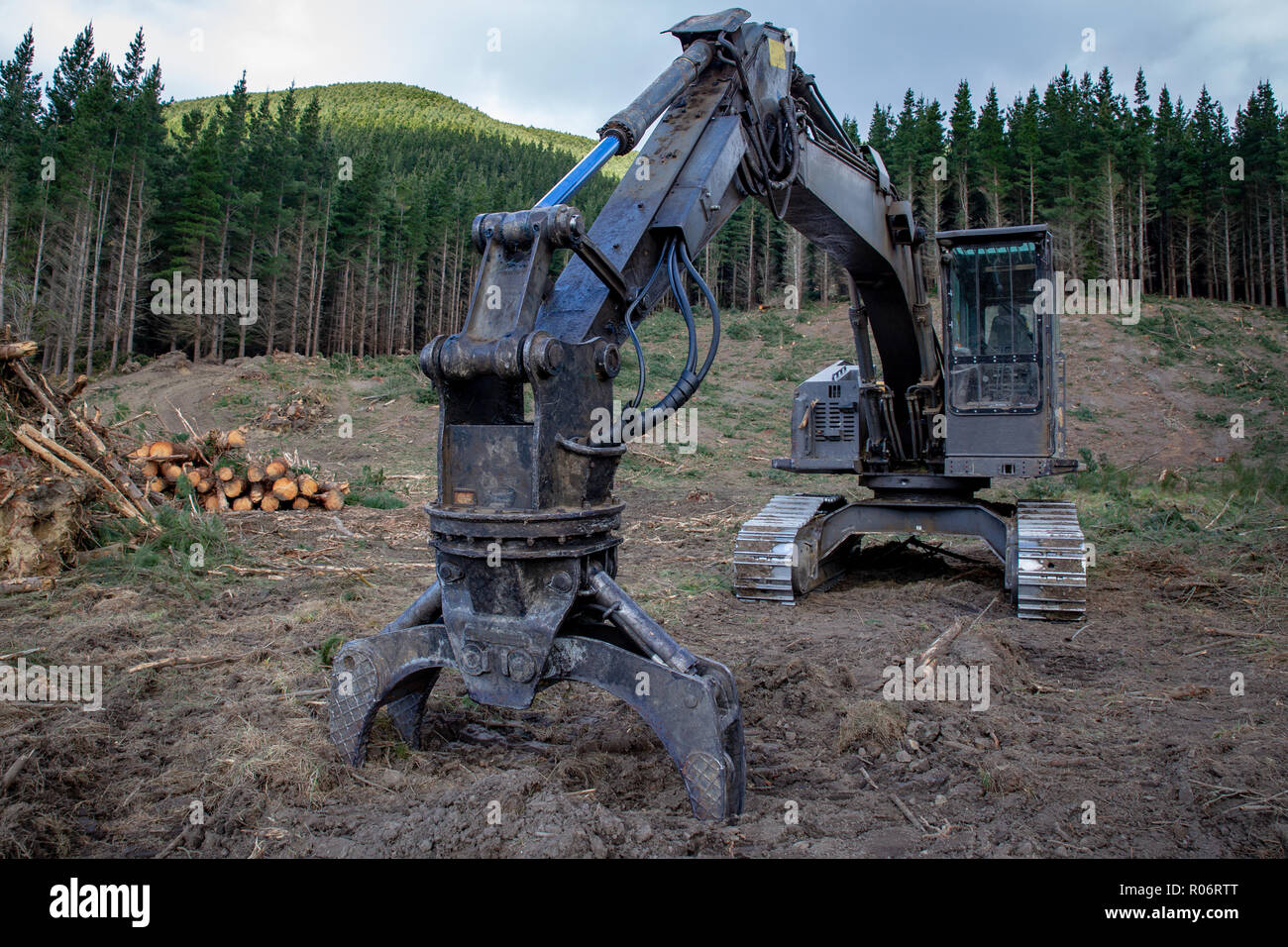 Logging machinery at a forestry logging site Stock Photo