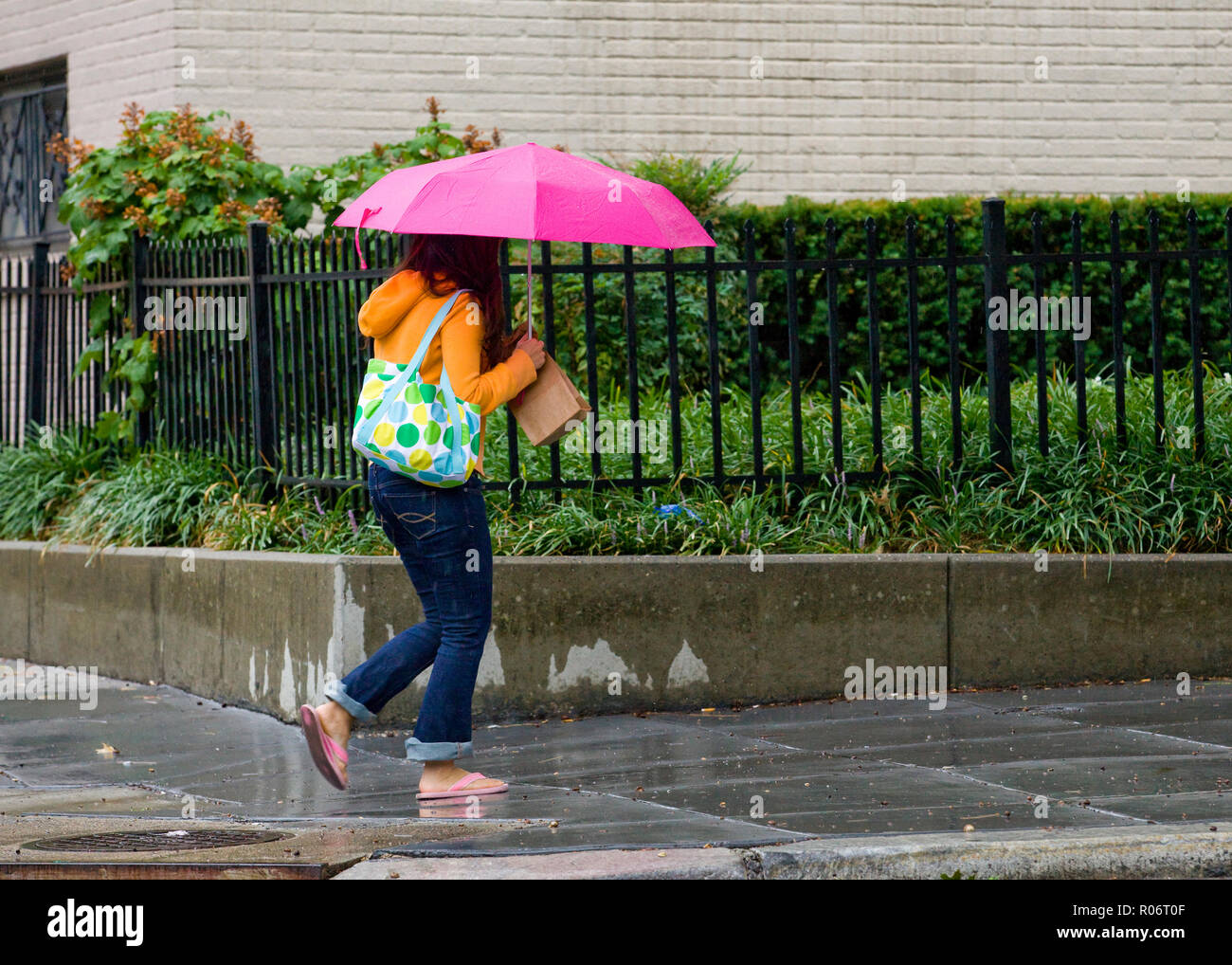 A woman walking alone on a rainy day holding an umbrella - USA Stock Photo