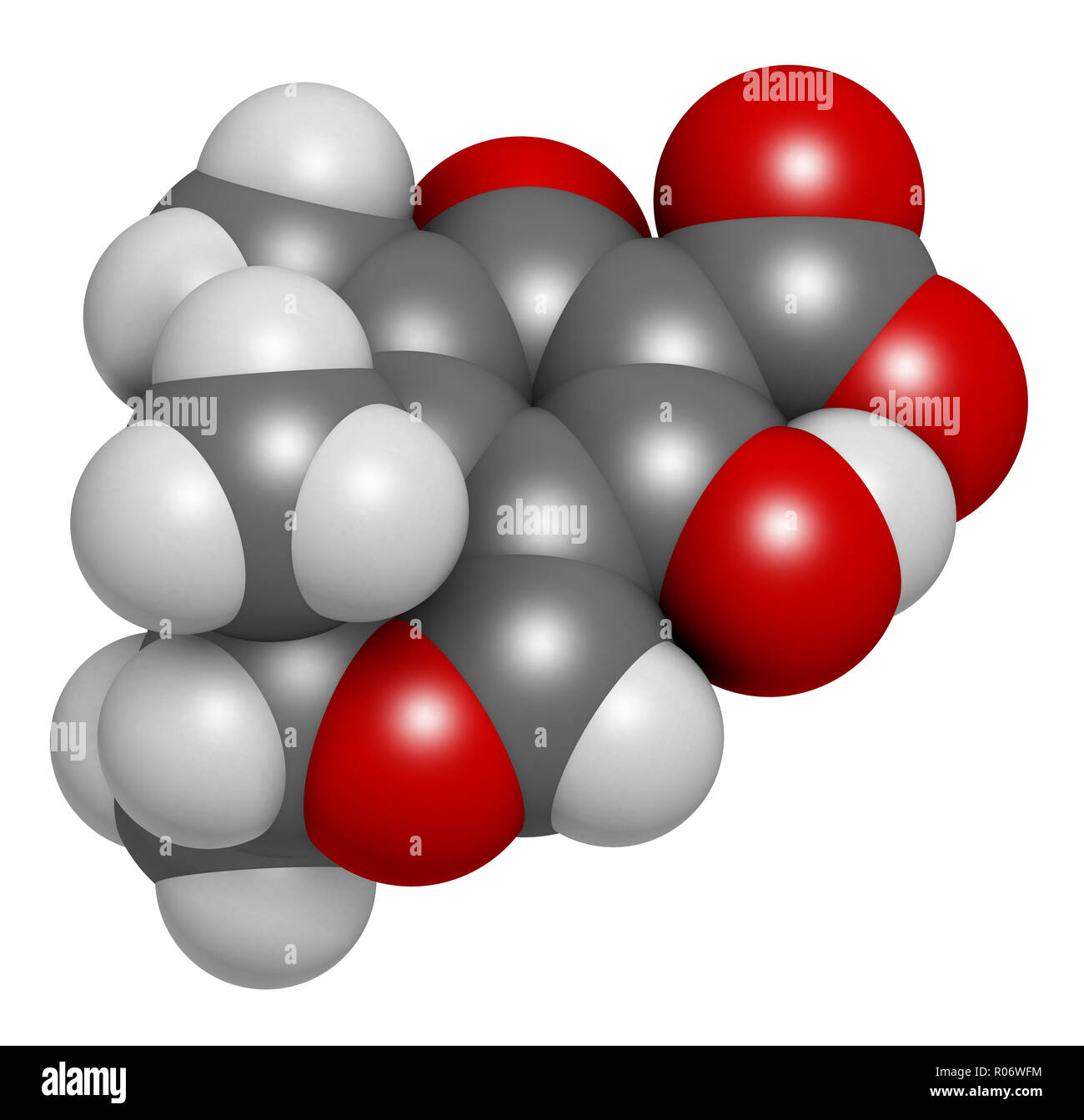 Citrinin mycotoxin molecule. 3D rendering. Atoms are represented as spheres with conventional color coding: hydrogen (white), carbon (grey), oxygen (r Stock Photo