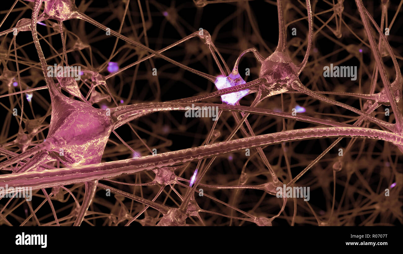 3D rendering of a network of neuron cells and synapses through which ...