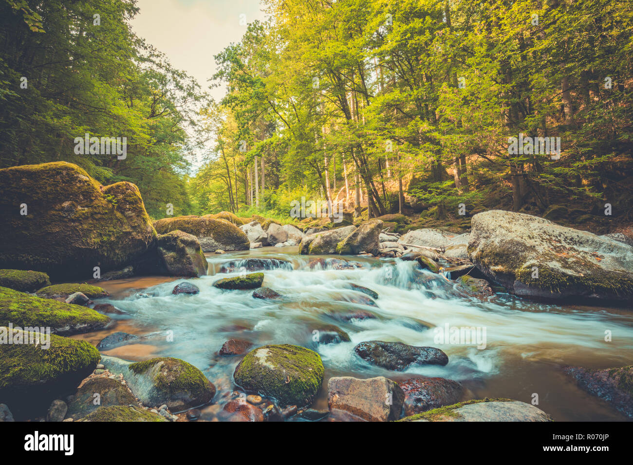 Beautiful river in forest nature. Peaceful toned nature background. Calmness mountain and river scenery Stock Photo