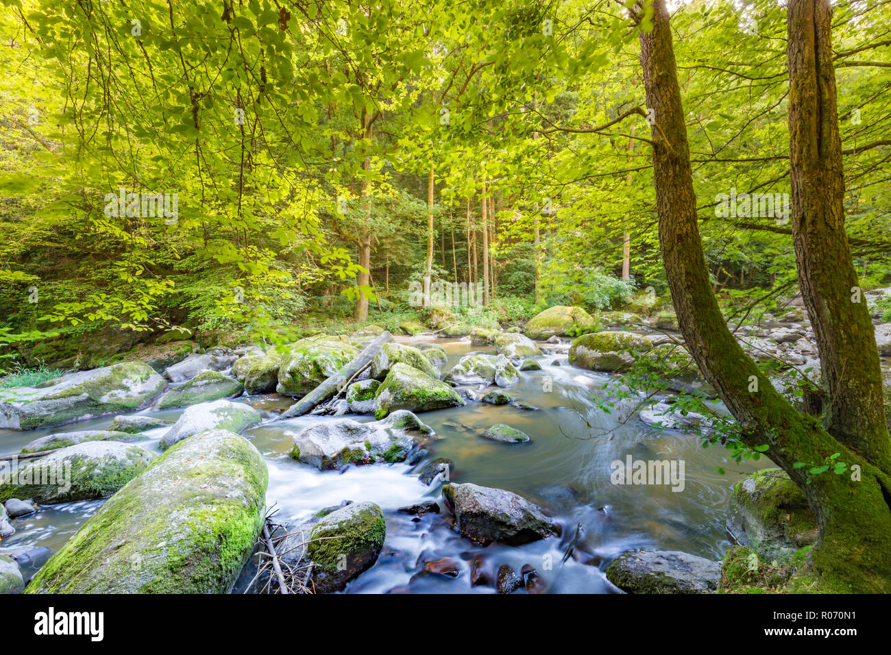 Beautiful river in forest nature. Peaceful toned nature background. Calmness mountain and river scenery Stock Photo