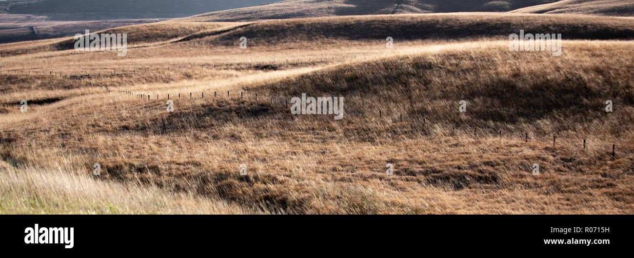 West Pennine Moors, open undulating moorland  in strong autumnal colours in the vicinity of Bolton And Belmont, Lancashire, England. Stock Photo
