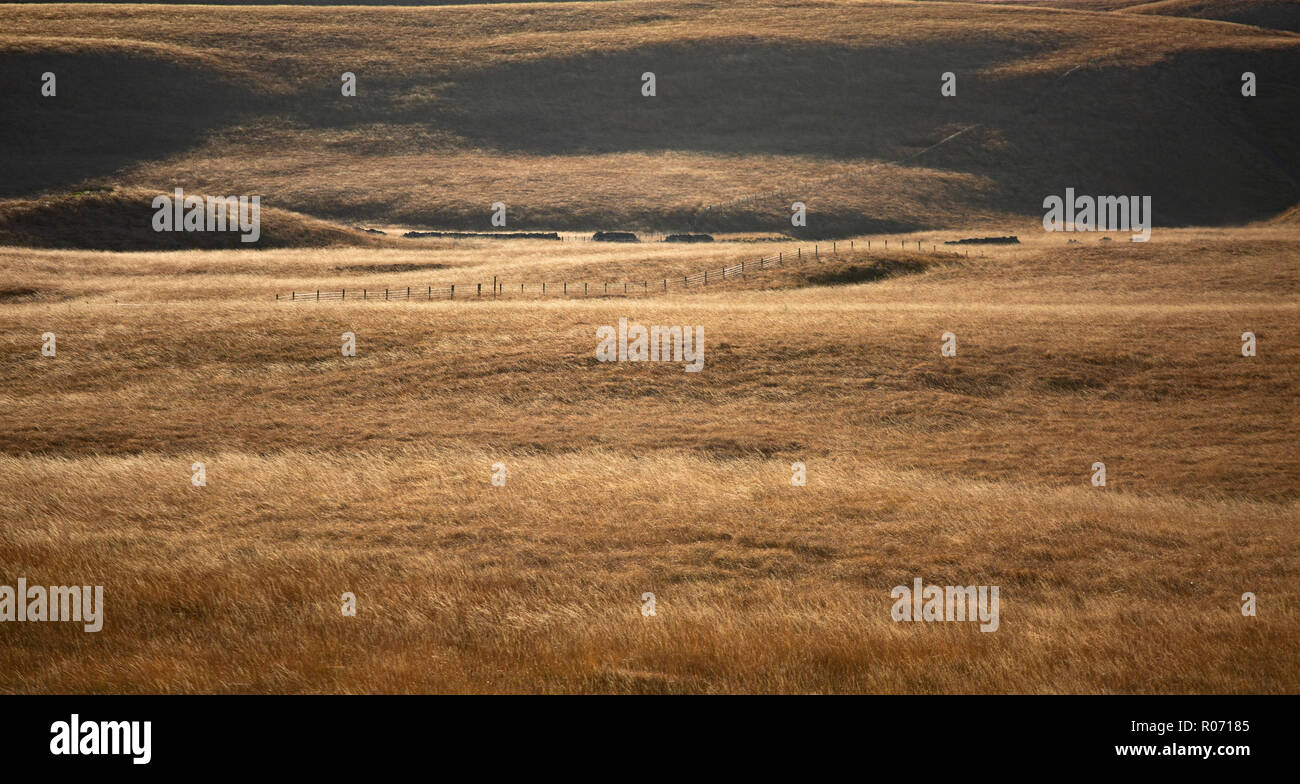 West Pennine Moors, open undulating moorland  in strong autumnal colours in the vicinity of Bolton And Belmont, Lancashire, England. Stock Photo
