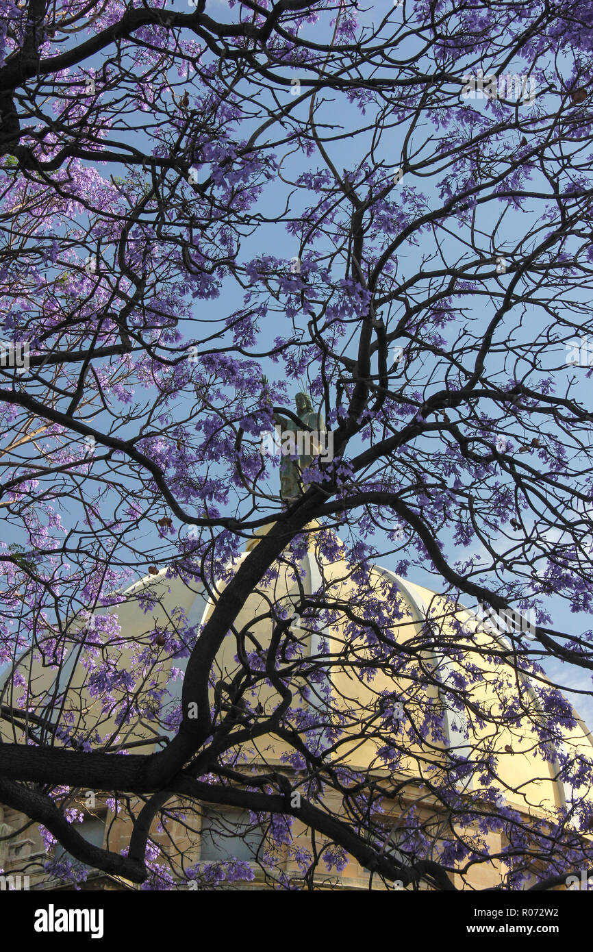 Statue of Christ on church dome through jacaranda tree violet flowers and branches on blue sky background Stock Photo