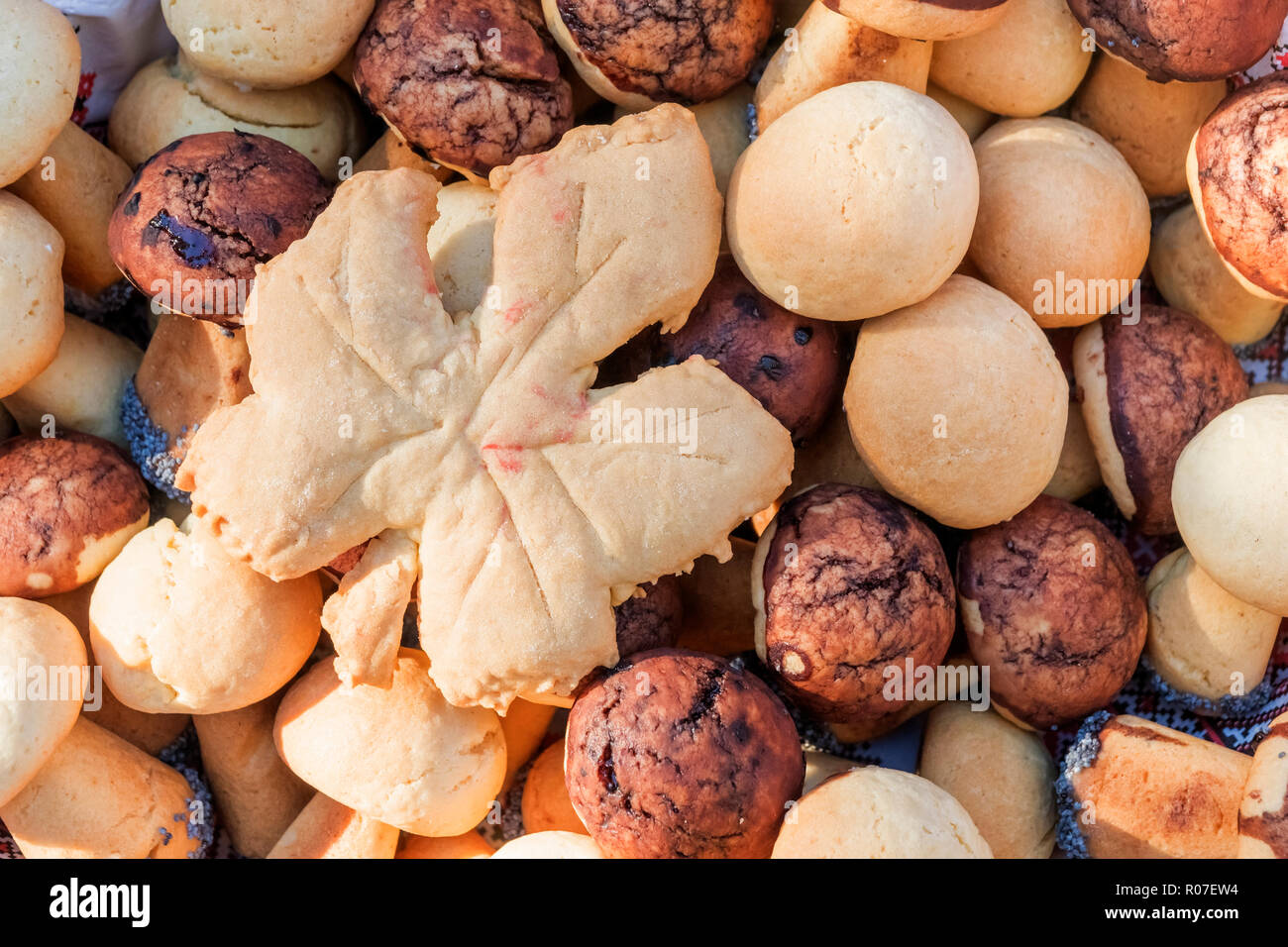 cookies maple leaf and forest mushrooms as background Stock Photo