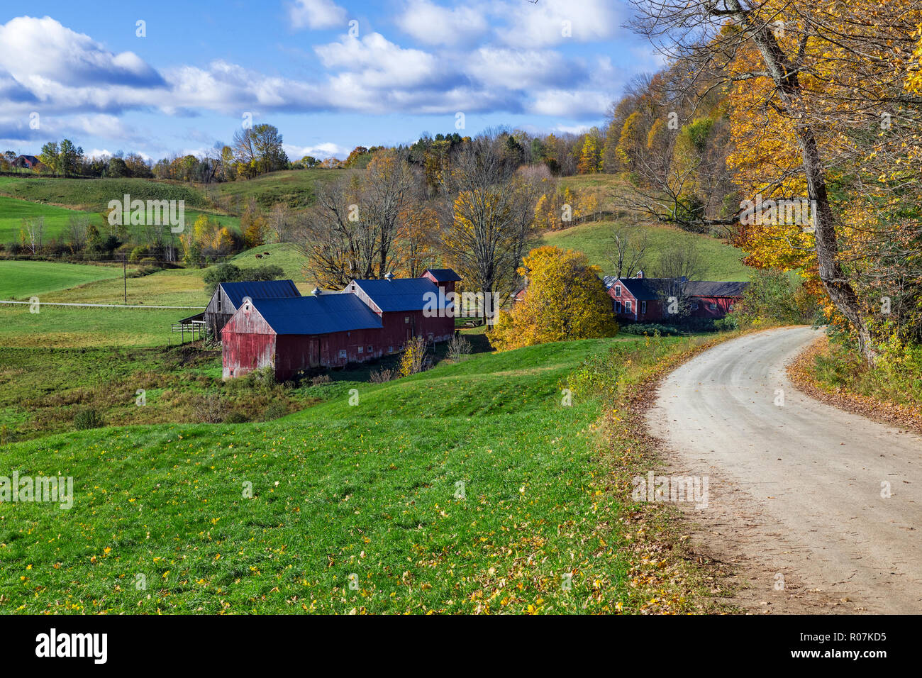 Colorful autumn farm, Reading, Vermont, USA. Stock Photo