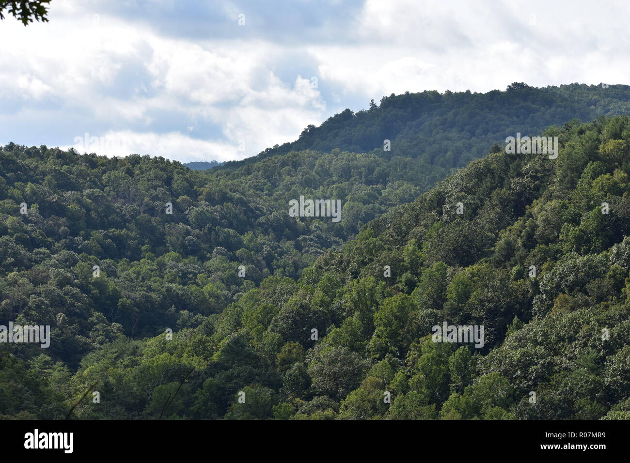 Forest covered hills hills in Kentucky Stock Photo Alamy