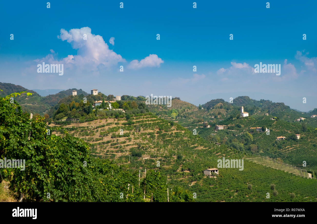 Prosecco vinyards and vedette lookouts near Farra di Soligo, Italy Stock Photo