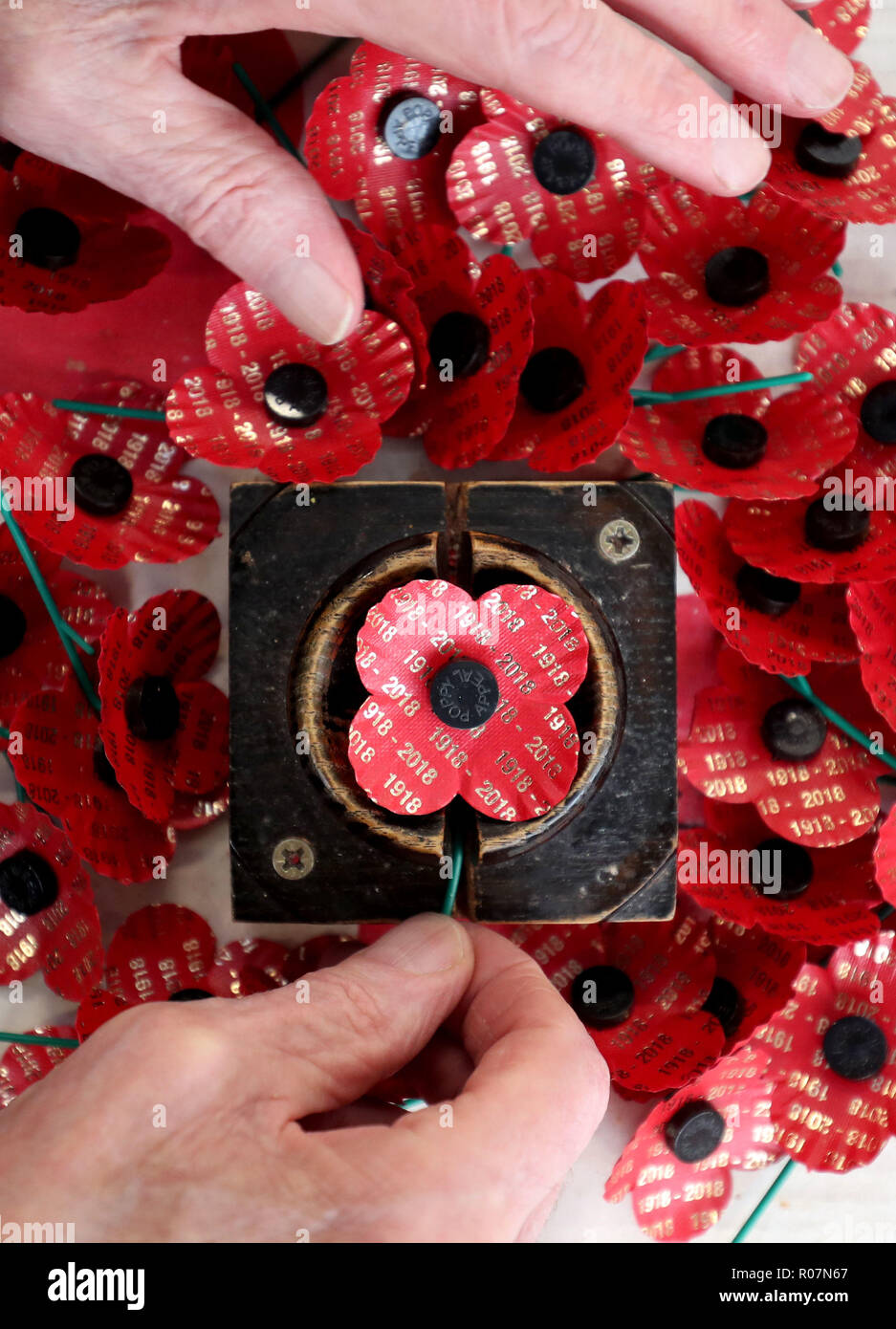 Limited edition centenary poppies are made at the Lady Haig Poppy Factory in Edinburgh for this year's PoppyScotland Appeal and the WW1 100-year commemorations. Stock Photo