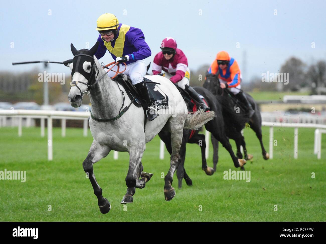 Batcio ridden by Aubrey McMahon win the Sky Sports Racing Launching in 2019 Flat Race during day one of the Down Royal Festival. Stock Photo