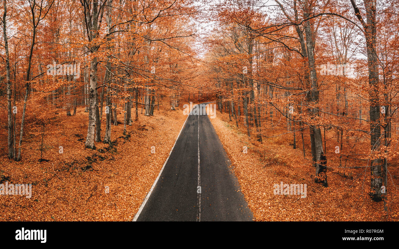 Beautiful rain forest in middle hi-res stock photography and images - Alamy