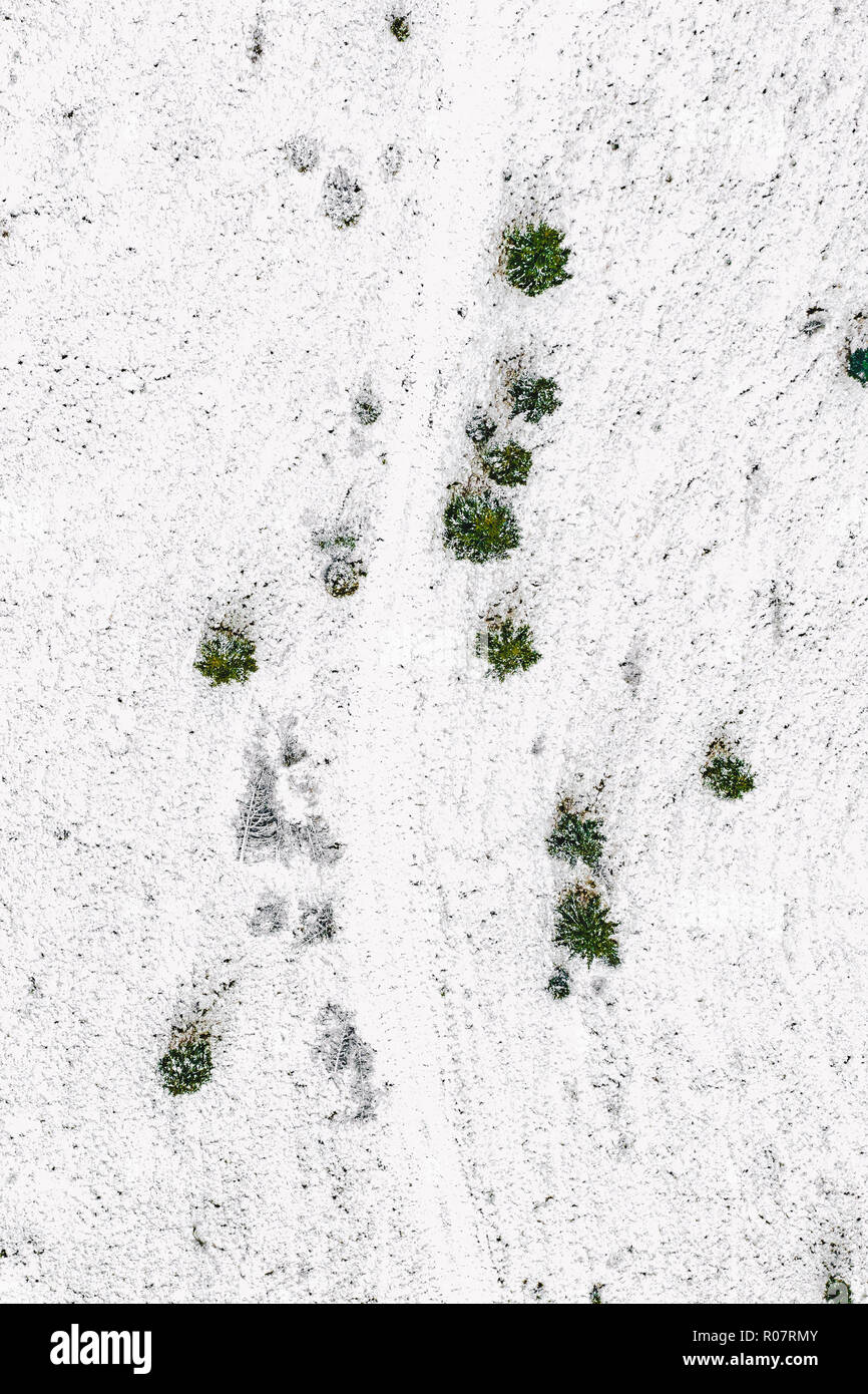Fresh snow in the forest aerial view Stock Photo Alamy