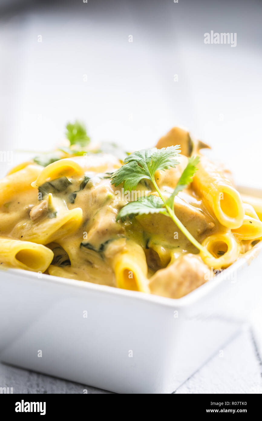 Pasta pene with chicken pieces mushrooms parmesan cheese sauce and herb decoration. Pene con pollo - Italian or medierranean cuisine. Stock Photo