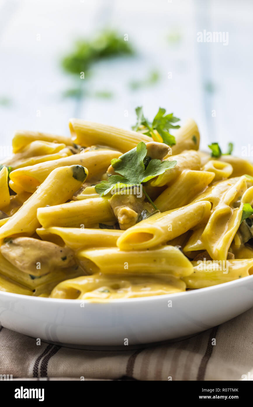 Pasta pene with chicken pieces mushrooms parmesan cheese sauce and herb decoration. Pene con pollo - Italian or medierranean cuisine. Stock Photo