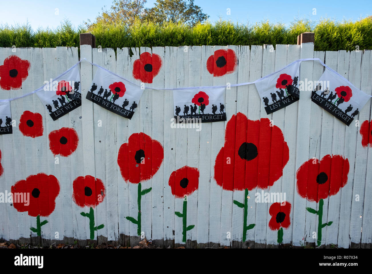 Poppy Road 1st to 11th November, 2018. A remembrance tribute from one generation to another, Aldridge, Walsall, UK Stock Photo