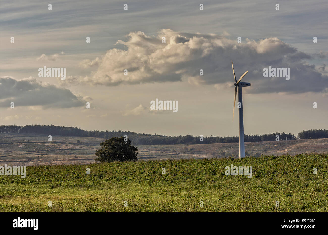 Wind turbine in the field. Stock Photo