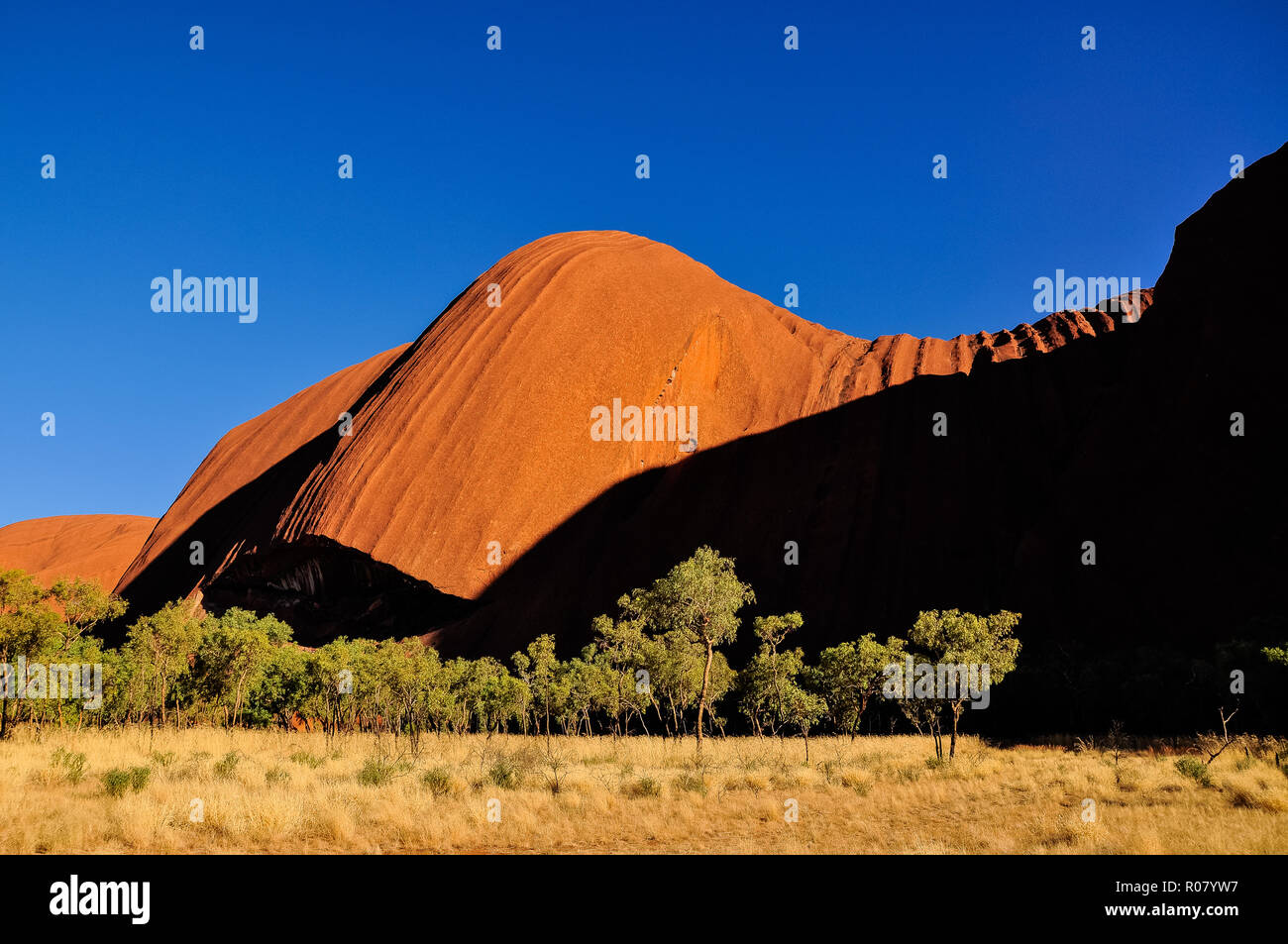 OUTBACK, AUSTRALIA - APRIL 30, 2009: red-orange Uluru, Ayers Rock after sunrise against a deep blue sky - one of the UMESCO world heritage sites Stock Photo