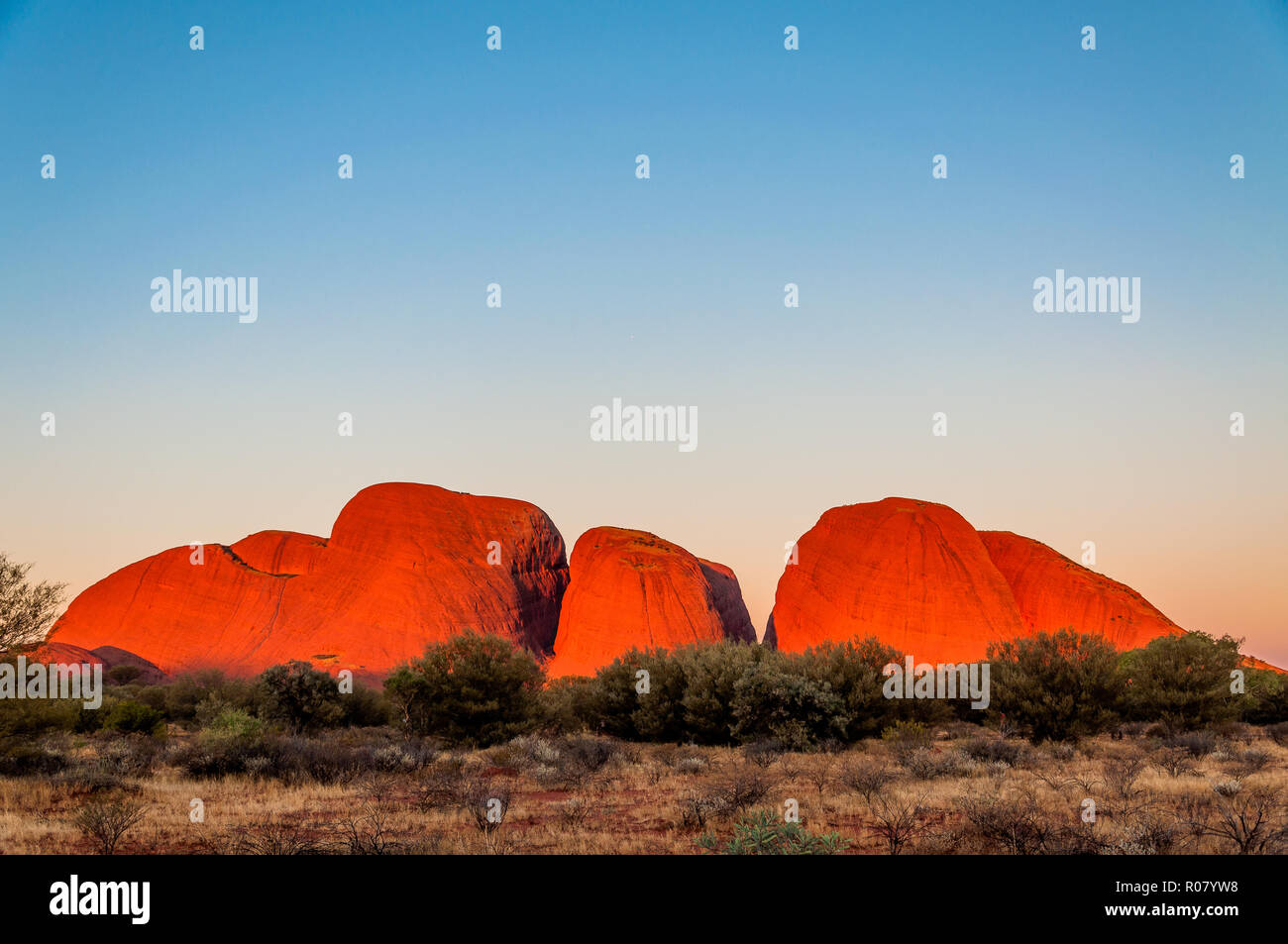 OUTBACK, AUSTRALIA - APRIL 30, 2009: The rock of Kata Tjuta (The Olgas)  changes into a luminous red as the sun is setting - one of the UNESCO world h Stock Photo