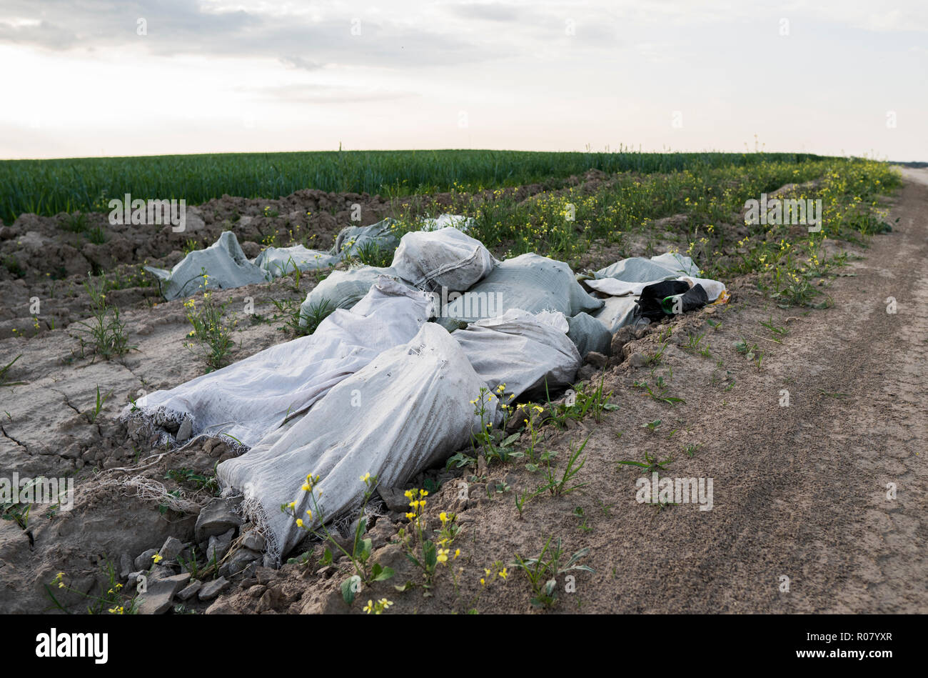 Illegal waste disposal. Pollution of the environment. Garbage in white