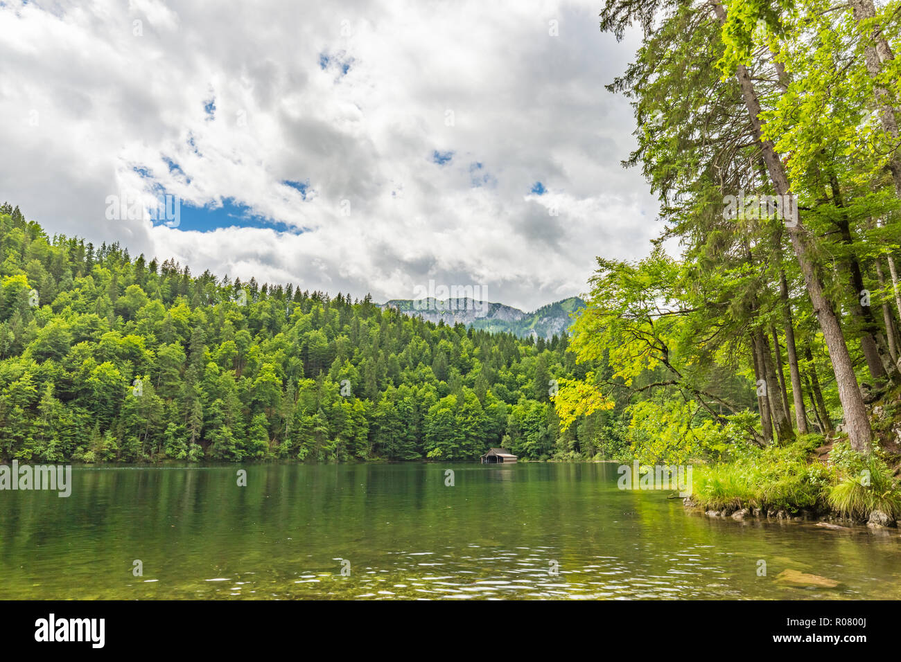 beautiful-mountain-lake-in-the-forest-bright-summer-day-tranquil