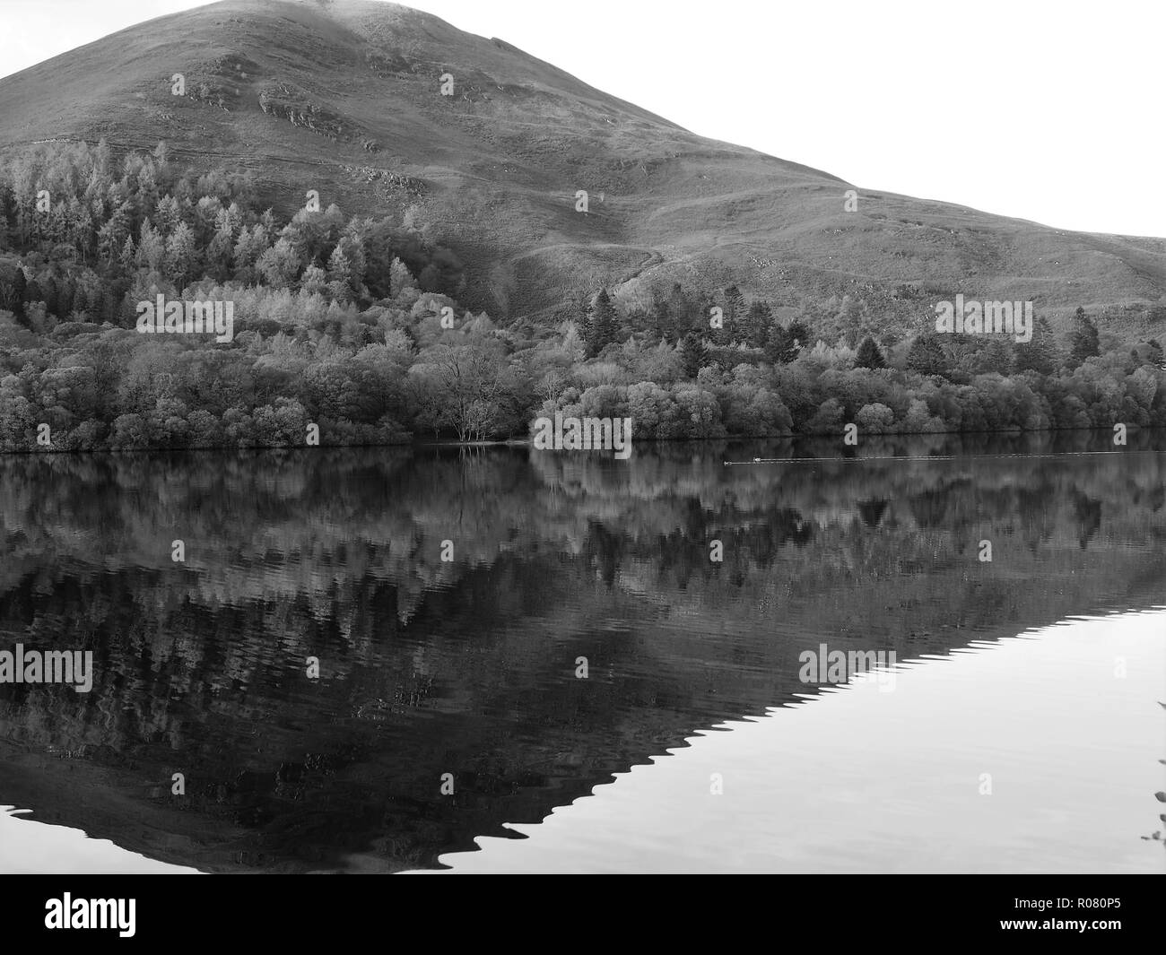 Ripples distorting the reflection of Carling Knott in Loweswater, Lake District National Park, Cumbria, England, United Kingdom Stock Photo