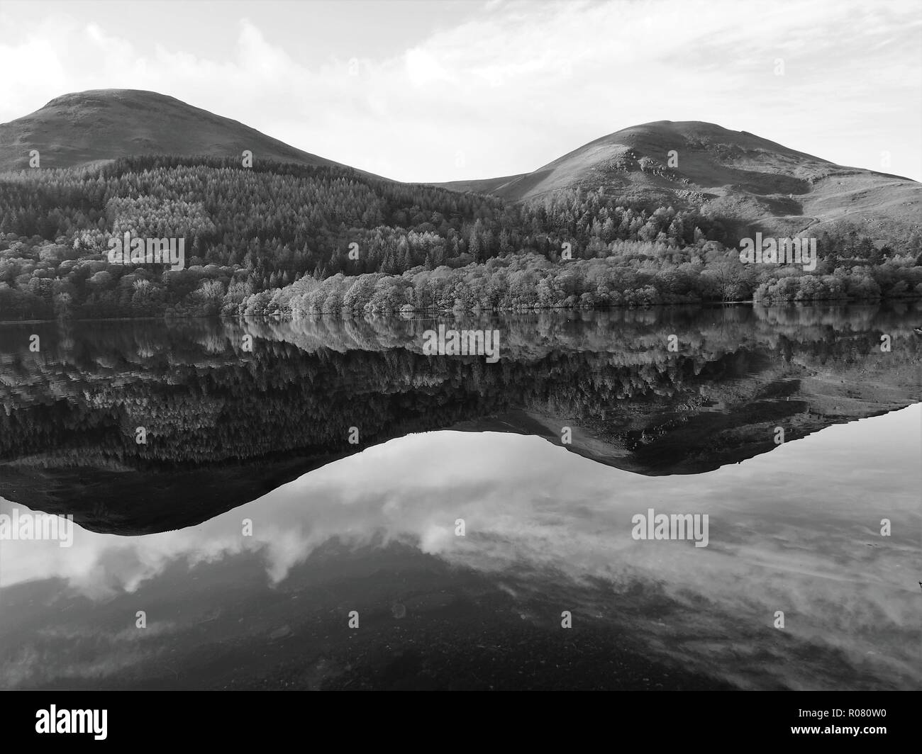Holme Wood and hills above reflected in the still Loweswater, Lake District National Park, Cumbria, England, United Kingdom Stock Photo