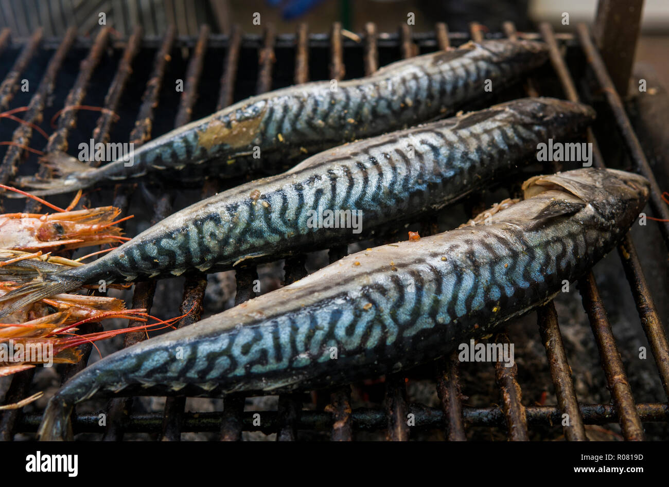 Grilled horse mackerel hires stock photography and images Alamy