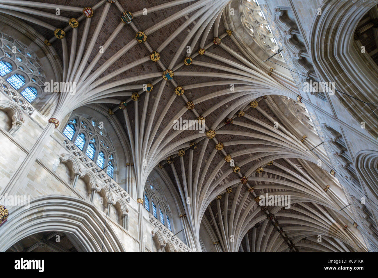 Exeter cathedral ceiling, the longest uniterrupted gothic stone vaulted ceiling of any cathedral in the world. Stock Photo