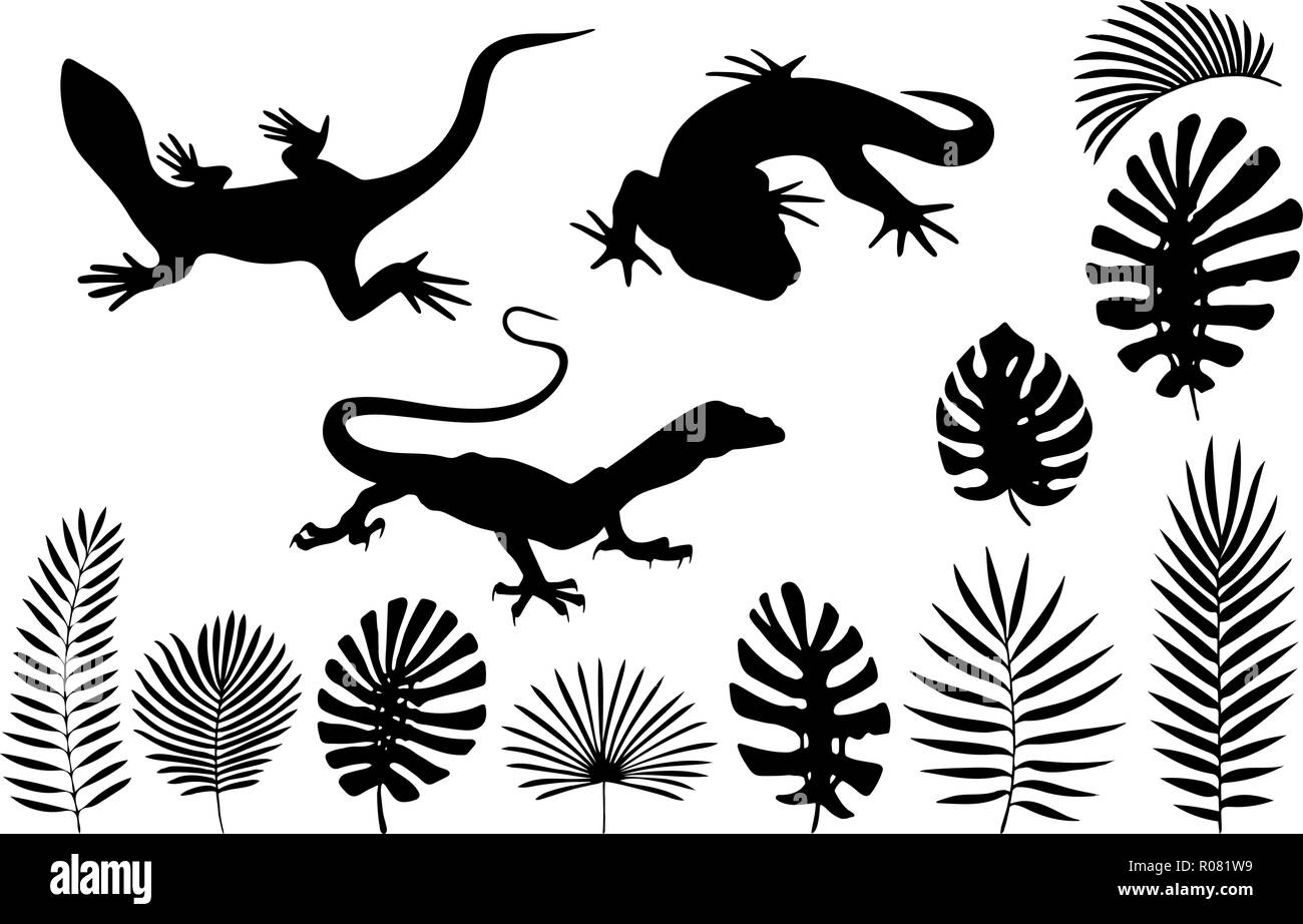 Silhouette lizard banana leaf hi-res stock photography and images - Alamy