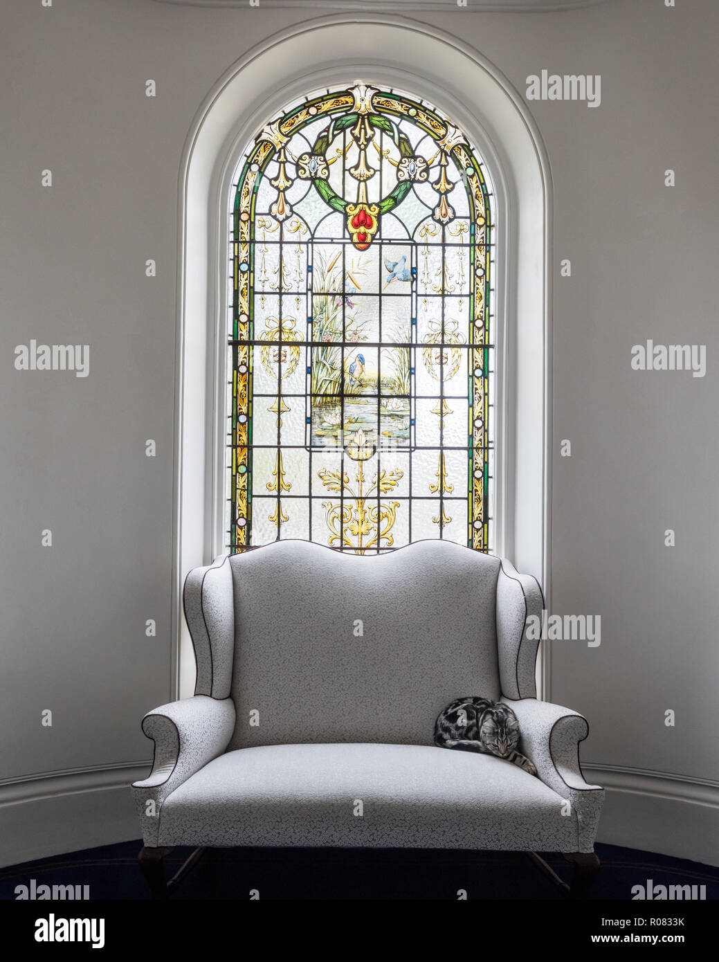 Cat on armchair by stained glass window Stock Photo