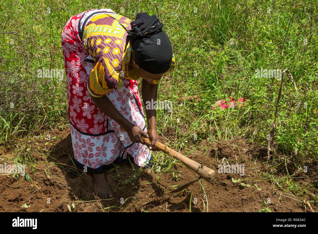woman working in the field in Kenya Stock Photo