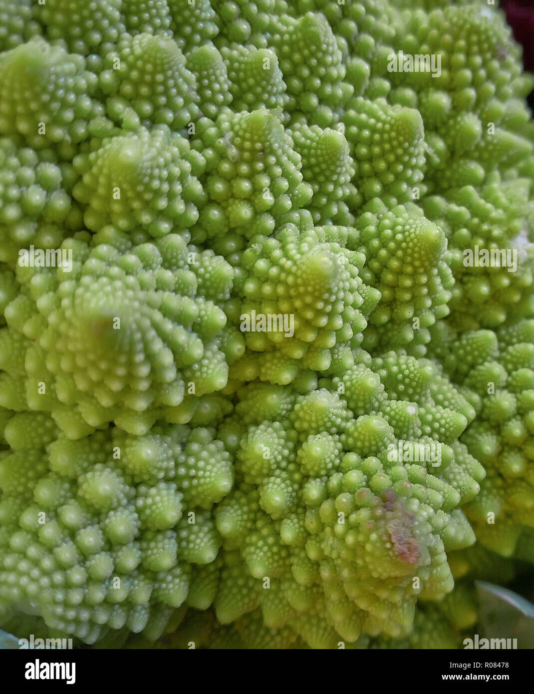 Detail of the perfect geometries of a Roman cabbage: a vegetable very ...