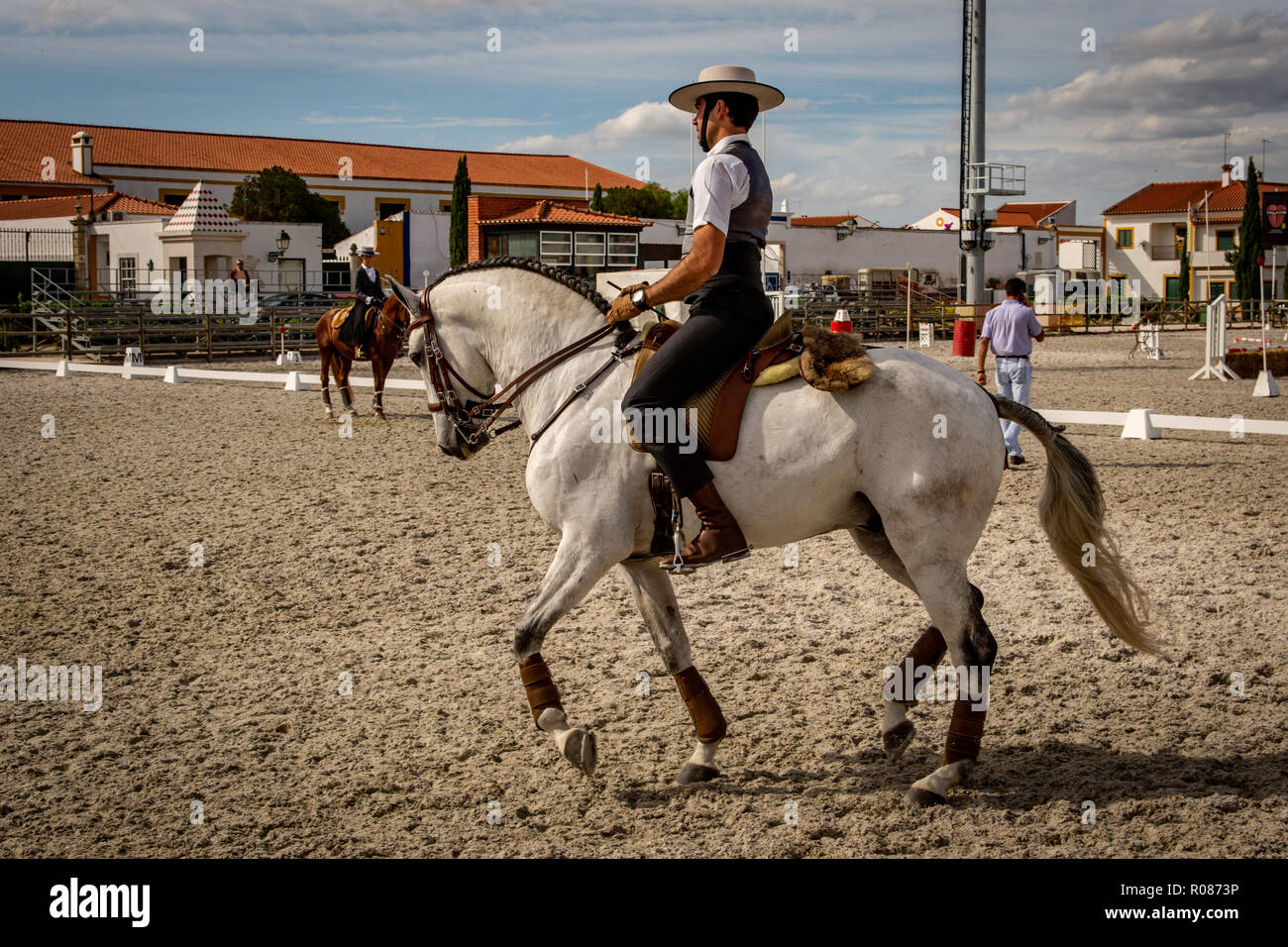 Lusitano Horse In Golega Portugal Stock Photo Alamy lusitano-horse-in-golega-portugal-stock-photo-alamy