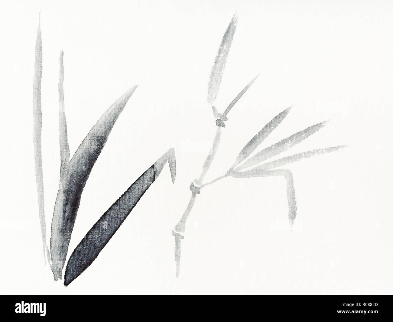 hand painting in sumi-e style on cream paper - reed plants drawn by ...
