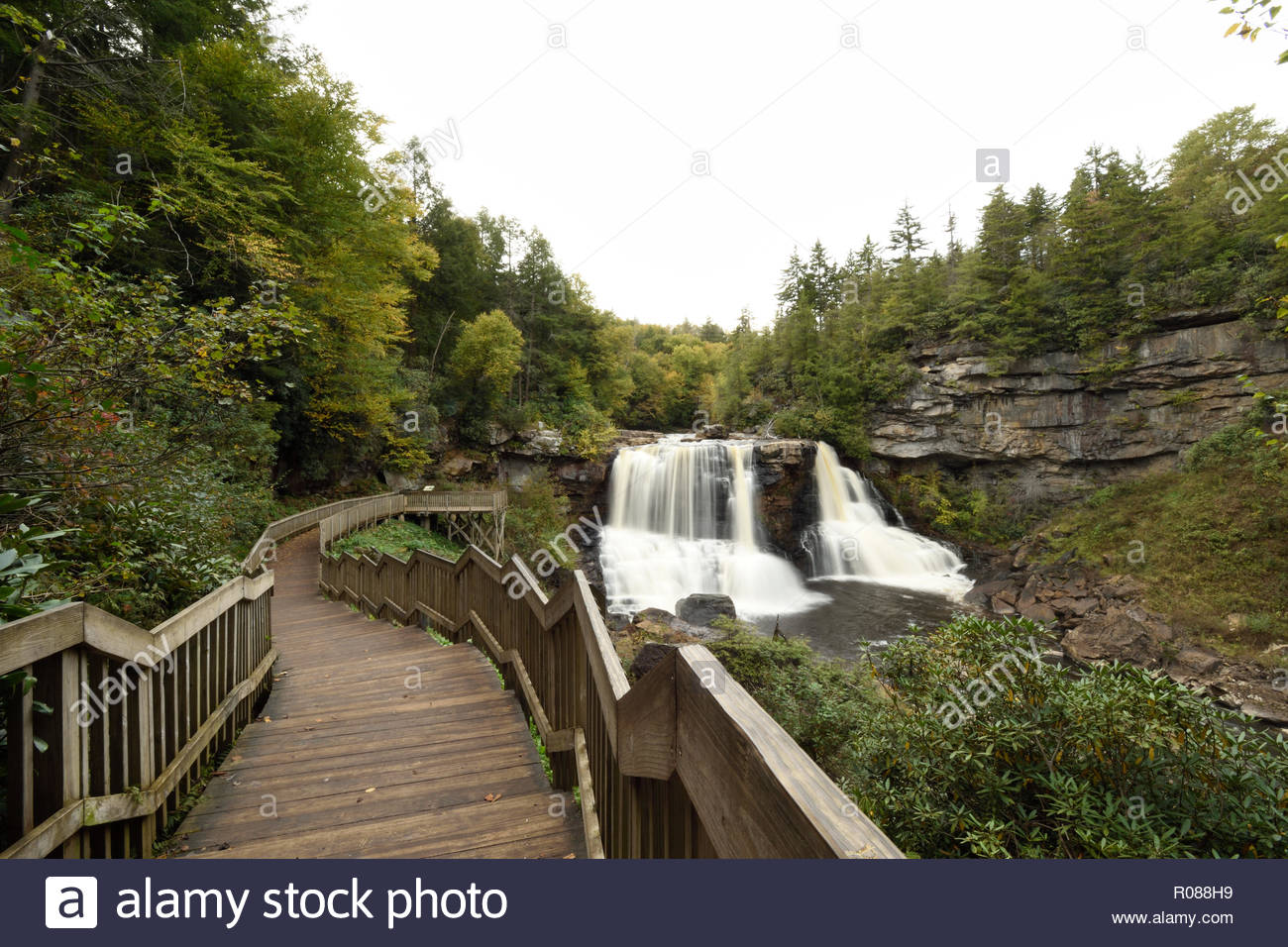 Blackwater Falls State Park >> Blackwater Falls And Boardwalk At Blackwater Falls State Park In Blackwater Falls State Park >> Blackwater Falls And Boardwalk At Blackwater Falls State Park In