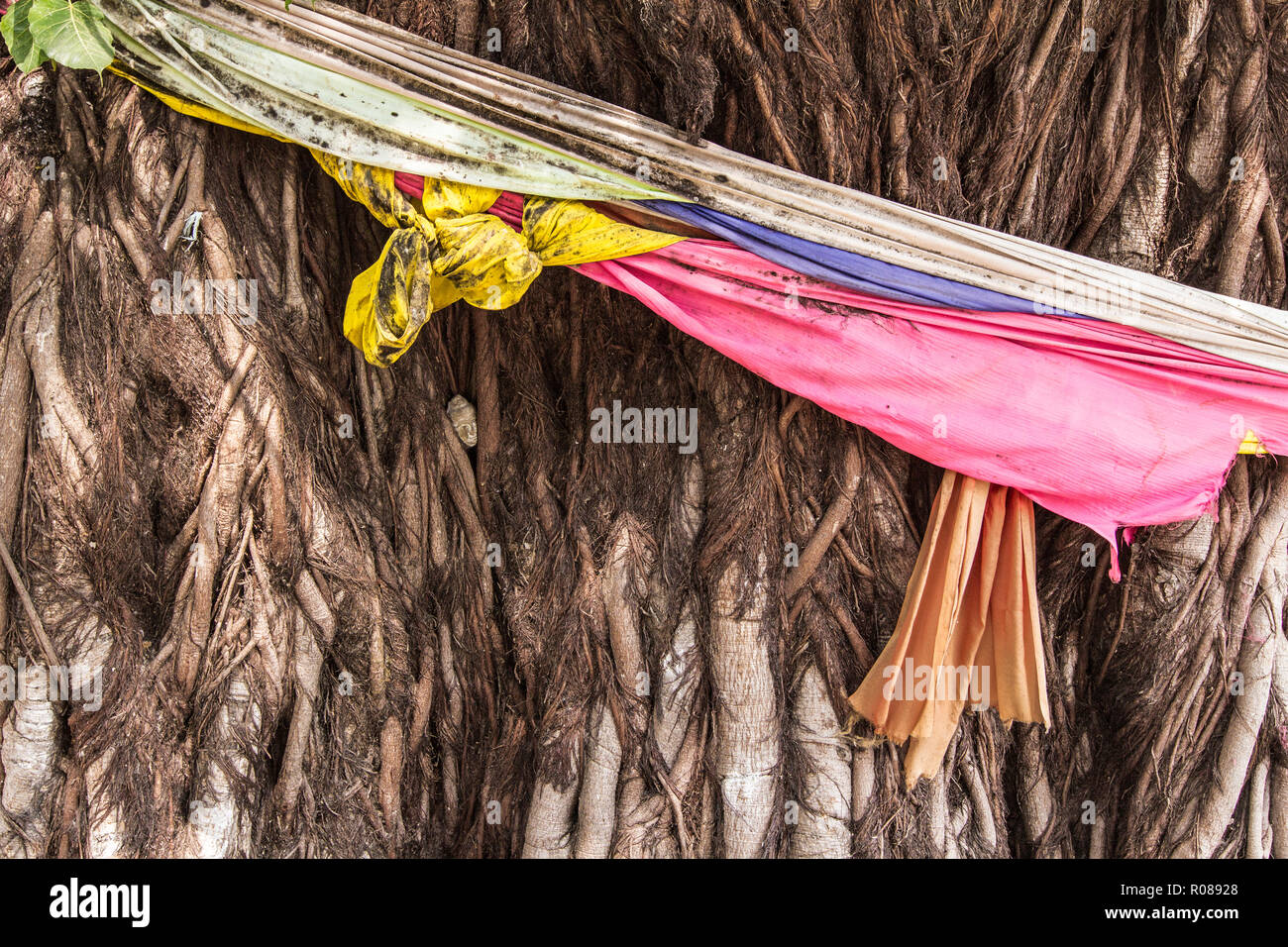 Tree with Buddhist Ribbons, Thakhet, Laos Stock Photo - Alamy