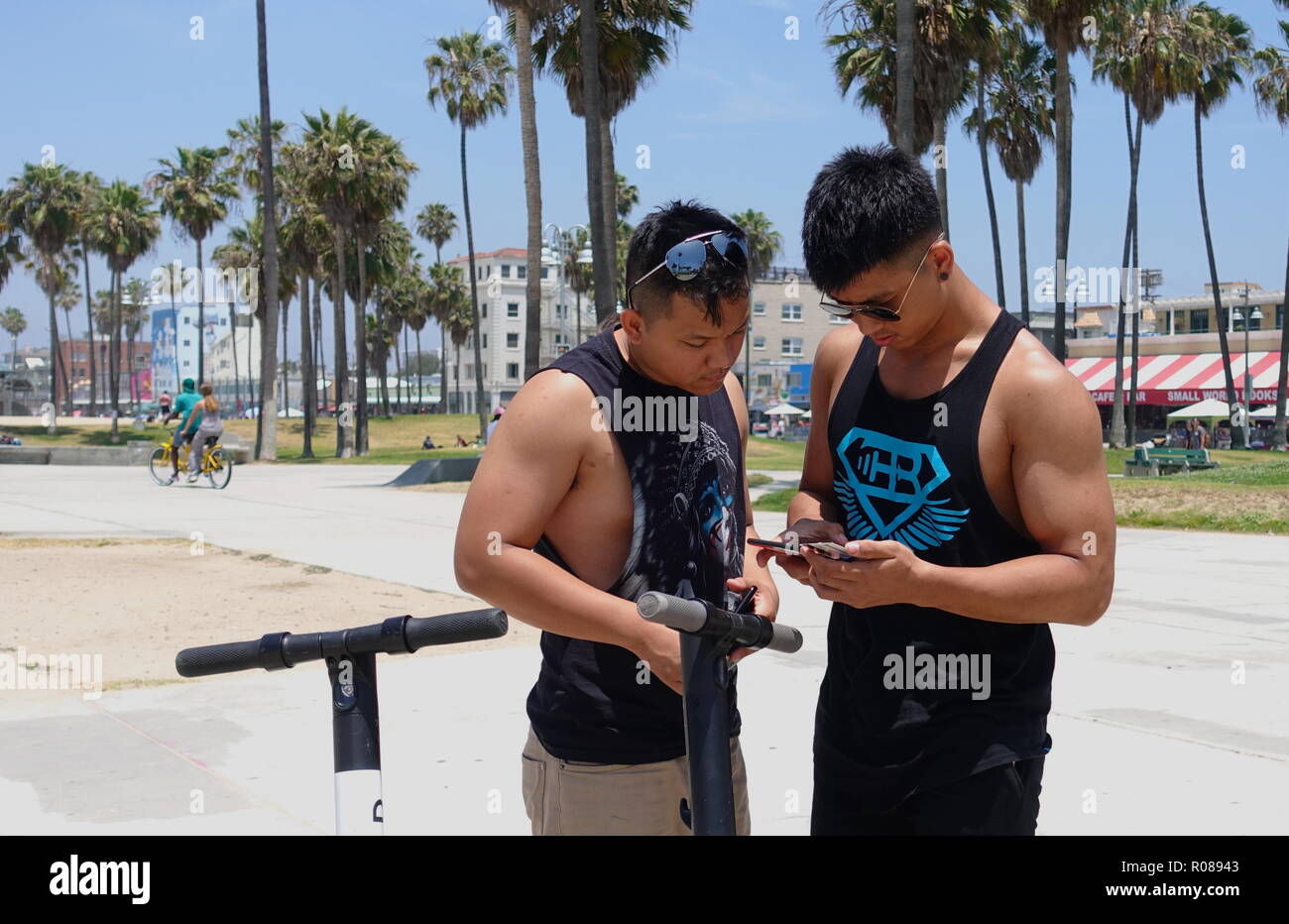 Two young, muscular Asian men use the mobile phone app to unlock and rent dockless electric BIRD scooters on the Venice Beach bike path Stock Photo