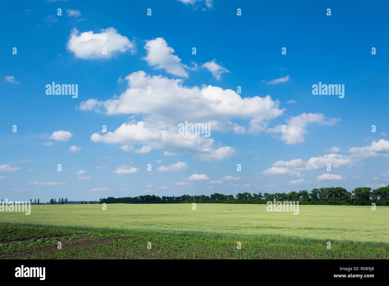 ucraina landscape Stock Photo