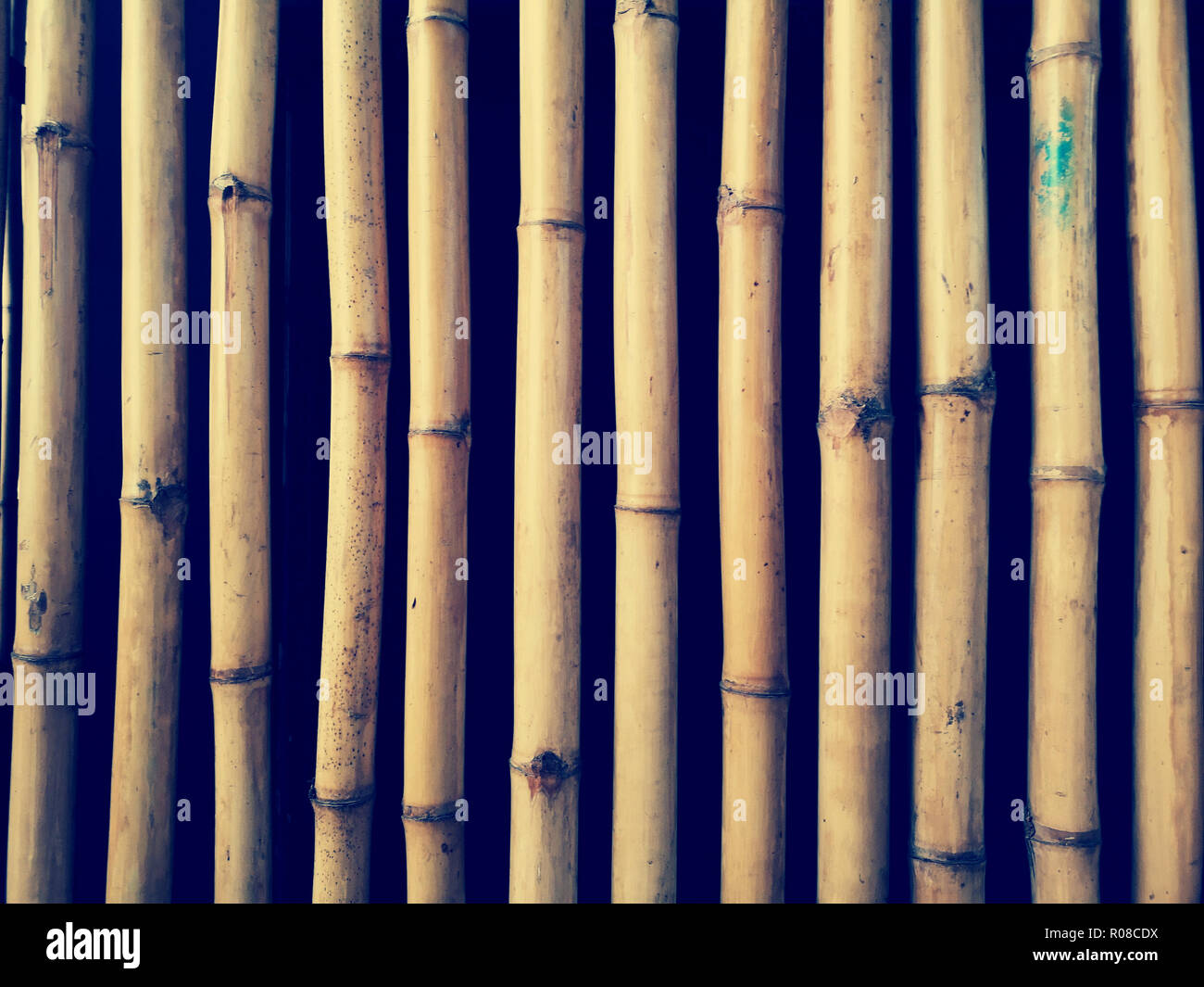 Bamboo Background in vintage style Stock Photo - Alamy