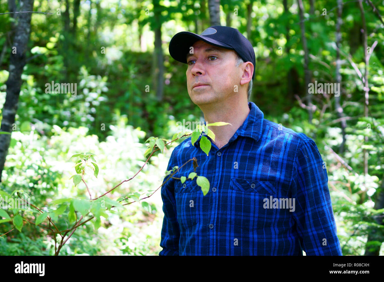 A caucasian man is looking away while hiking in the forest wearing a blue check shirt and a black hat. Stock Photo