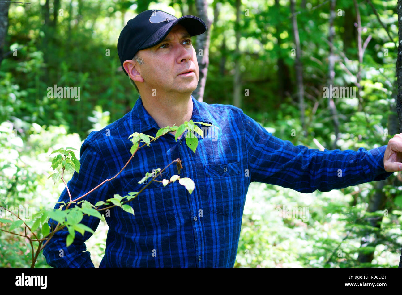 A caucasian curious man is looking away while hiking in the forest wearing a blue check shirt and a black hat. Stock Photo