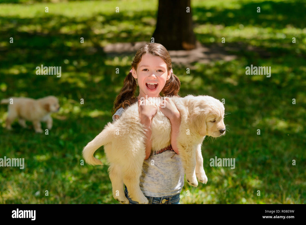 Girl carrying a puppy Stock Photo Alamy