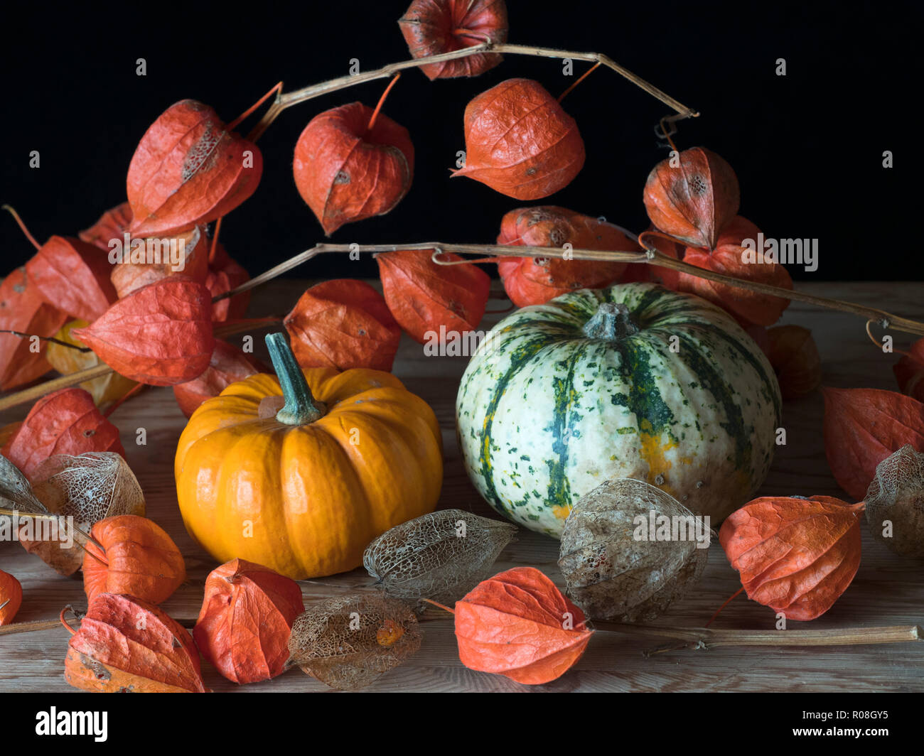 Home Grown squashes and chinese lanterns in garden potting shed Stock Photo