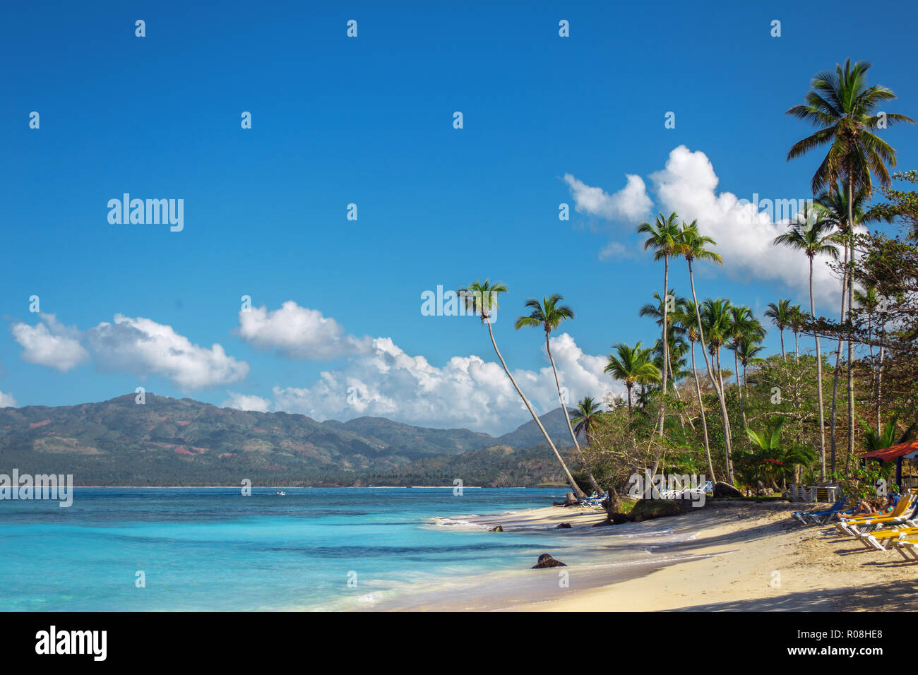 beautiful Caribbean beach with white sand and deckchairs. Dominican Republic Stock Photo