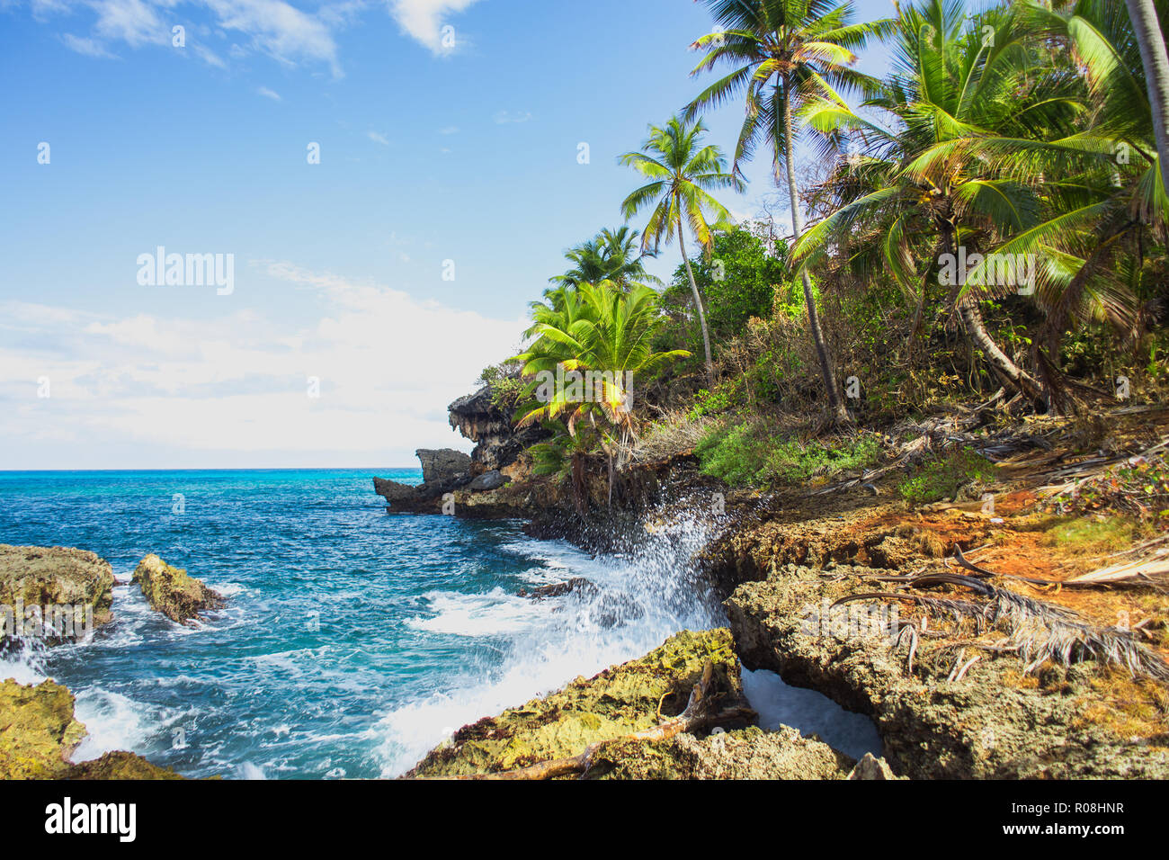 Wild tropical rocky shore, bay, lagoon. Sea Splash, Green palm trees on the rocks. Las Galeras, Samana, Dominican Republic Stock Photo