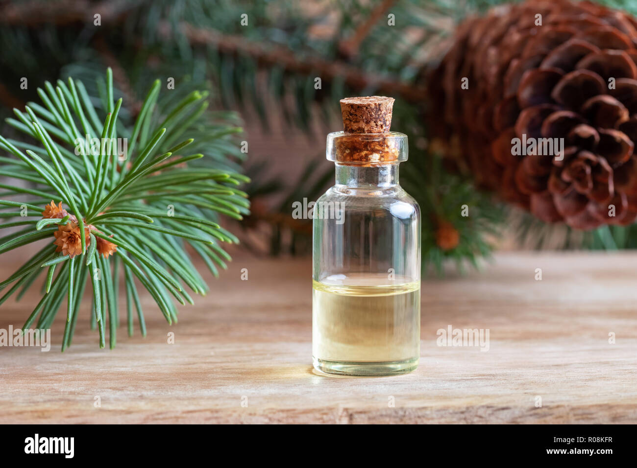 A bottle of essential oil with spruce branches and cones Stock Photo